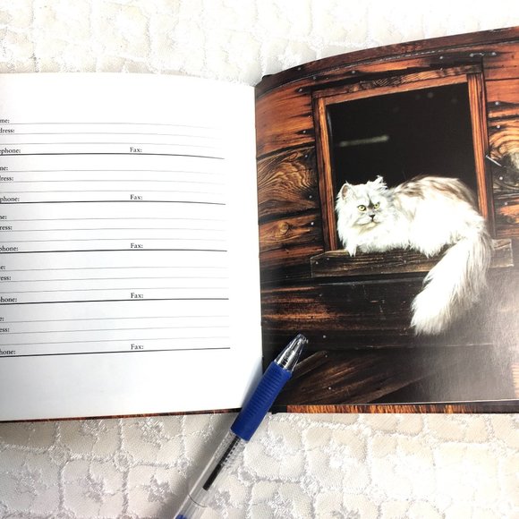 Address Book Cat Kitten Antics Vintage - Picture 4 of 8